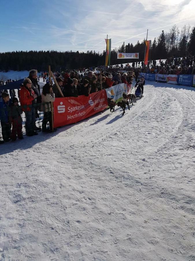 Fewo Mit Pool Haus Enere Au Todtmoos Eksteriør billede